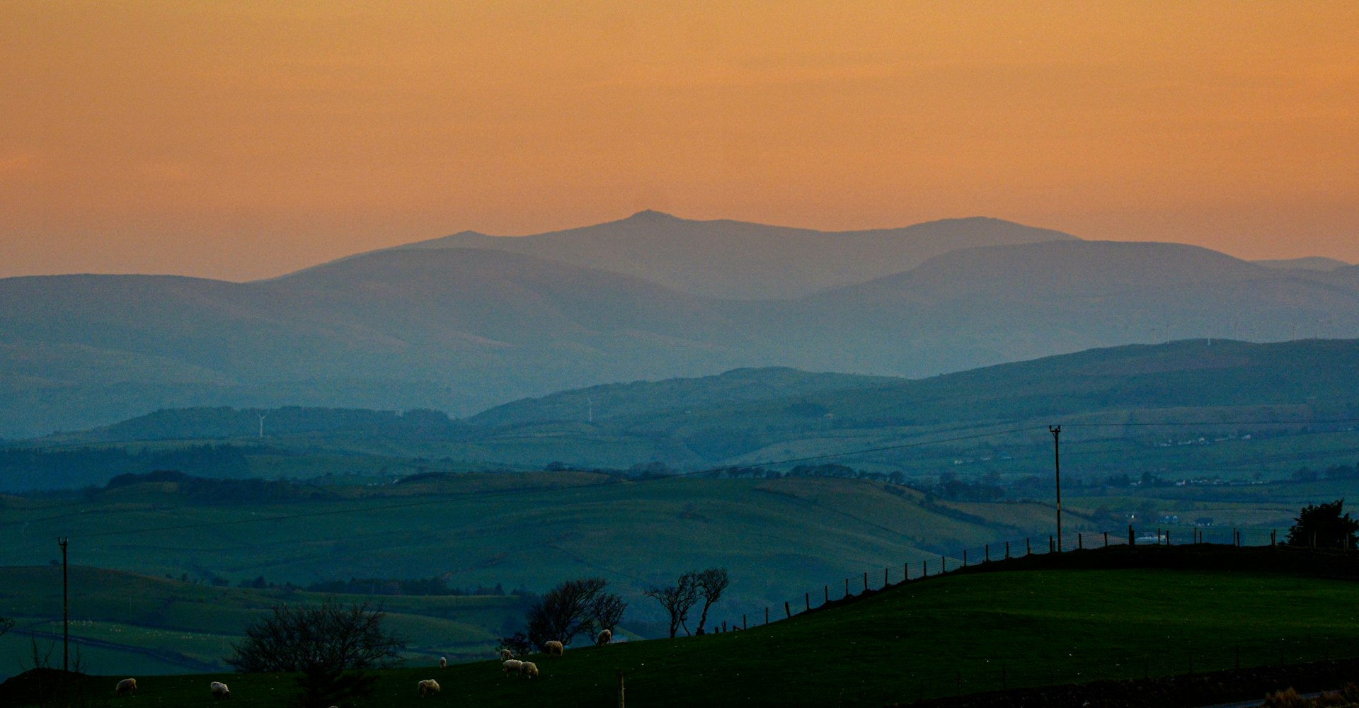 Welsh hills at sunset with sheep grazing in the foreground